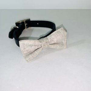 Dog Cat Collar with Removable Bow Tie